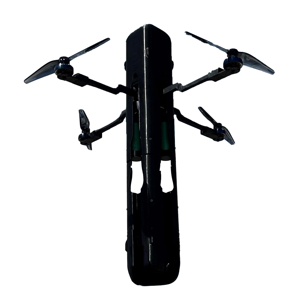 Black Bird