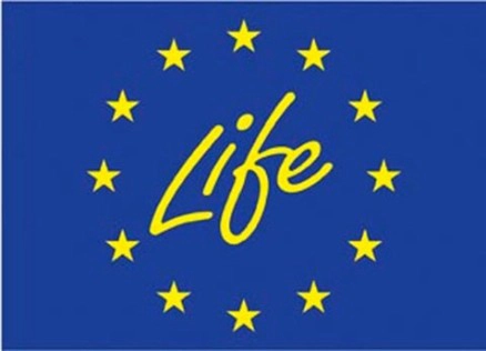 logo LIFE PIAQUO web